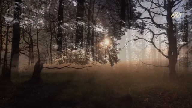 ?/Старый охотник Емеля/ Случай в тайге/ смотреть онлайн