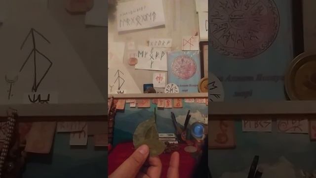 Исполнение желания на лавровый лист смотреть онлайн