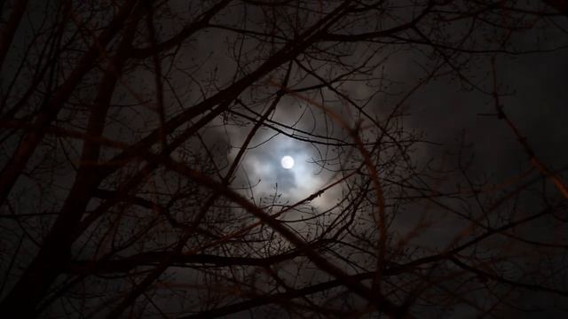 Creepypasta 48# | Dans les bois (Partie 1/2) [FR] смотреть онлайн