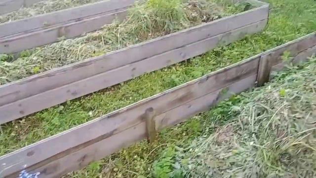 Что на втором участке🤣🤣🤣 смотреть онлайн