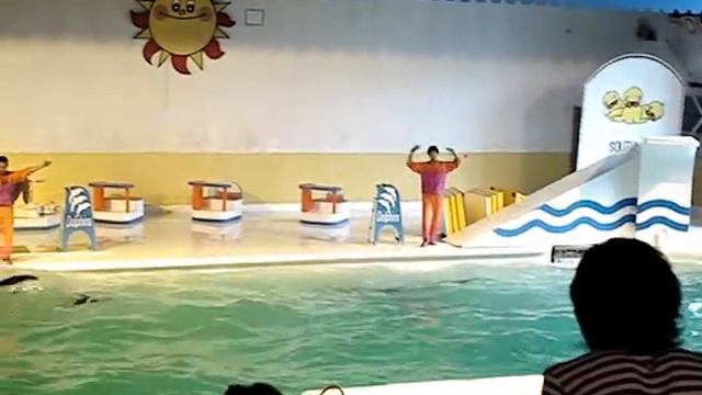 Otaru Aquarium, Отару, Хоккайдо, Япония смотреть онлайн