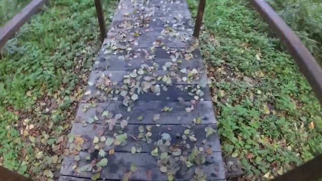 Веломаршрут 55 км на велосипеде за день! Кияница Родник Ваколовский Сумы смотреть онлайн