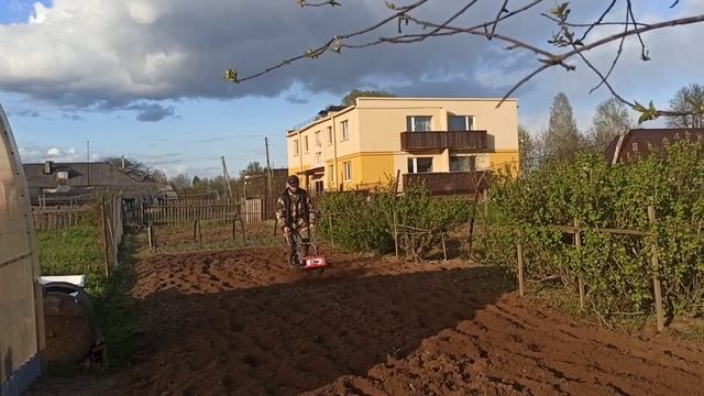 Миникультиватор WinzoR TL60TF смотреть онлайн