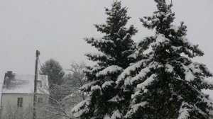 Не взыщи, мои признанья грубы...