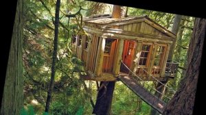 Сказочно красивый дом на дереве, дома на деревьях YouTubeFotoVideo