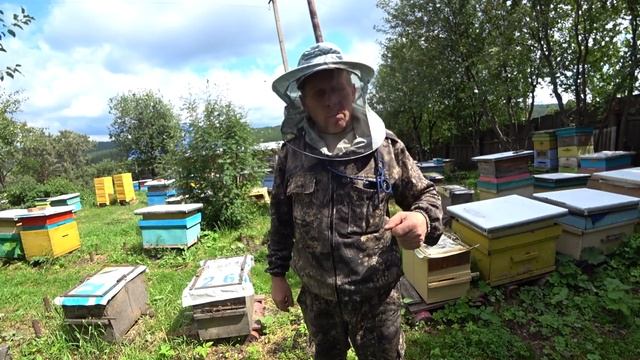 КАК РАБОТАТЬ СО ЗЛЫМИ ПЧЕЛОСЕМЬЯМИ НА ПАСЕКЕ, МОЙ ОПЫТ И СОВЕТ. смотреть онлайн