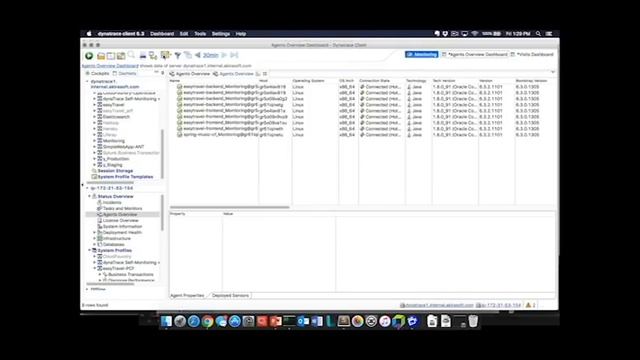 Dynatrace AppMon in Pivotal Cloud Foundry (PCF) смотреть онлайн
