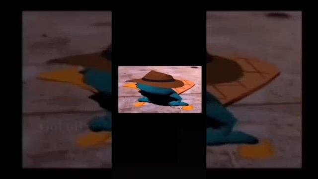 Пери утканос танцует