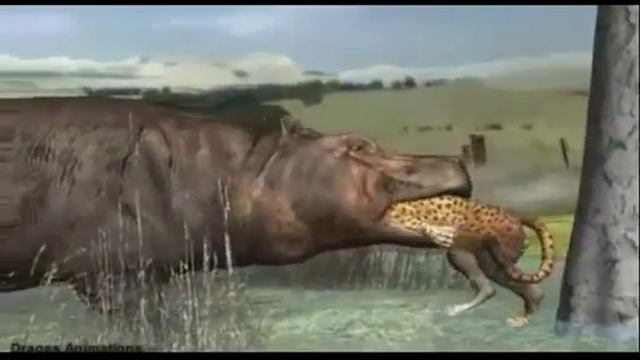 Как бегемот съел леопарда смотреть онлайн
