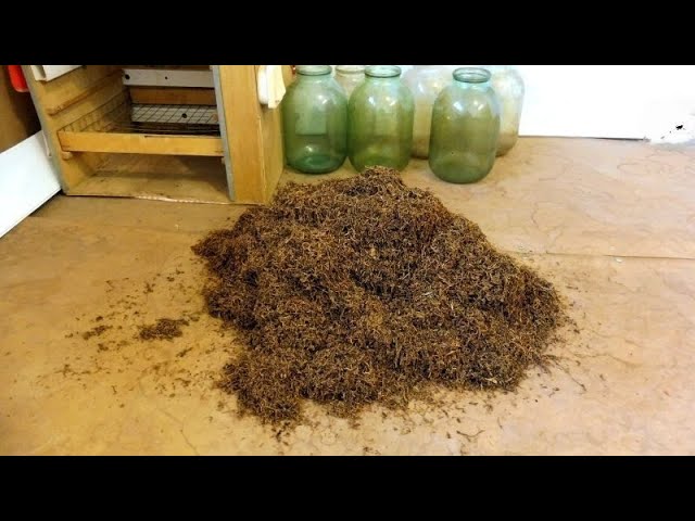 Табаководство_ ферментация Вирджинии. смотреть онлайн