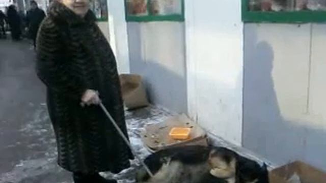 бабка и собака смотреть онлайн