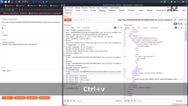 Authentication 13 | Password reset poisoning via middleware смотреть онлайн