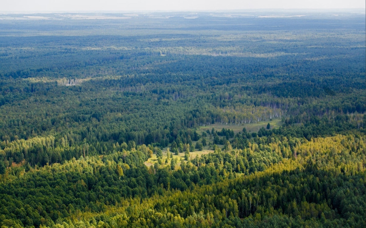 Вольному воля смотреть онлайн