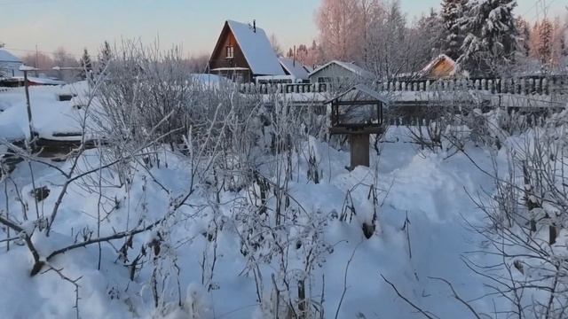 25-30 2021г будни на даче дача под Архангельском смотреть онлайн