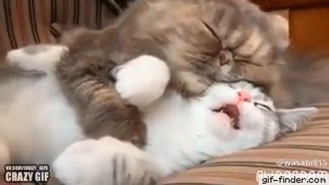 Беда не приходит одна.(3) смотреть онлайн