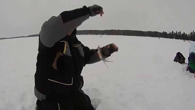 Встреча рыбаков ХМАО или как провести 23 февраля!!! смотреть онлайн