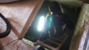 VLOG Проснулась, еще не ела и тащат в подвал