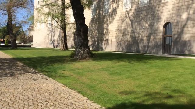 Свадебный фотограф в Праге смотреть онлайн