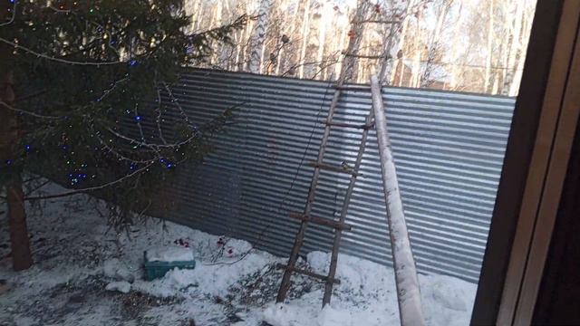 Самая активная белка смотреть онлайн