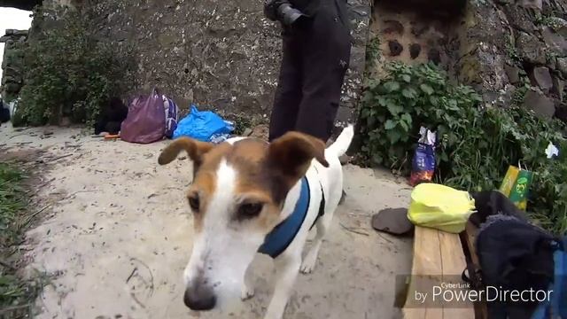 Черкесская деревня на Голандских высотах в Израиле (старые поселения кавказских народов). смотреть онлайн