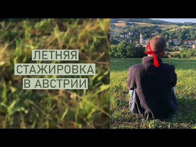 Летняя СТАЖИРОВКА в АВСТРИИ | Мой опыт Internship 2021