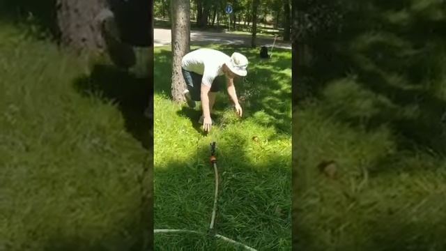 Как вернуться в детство!? смотреть онлайн