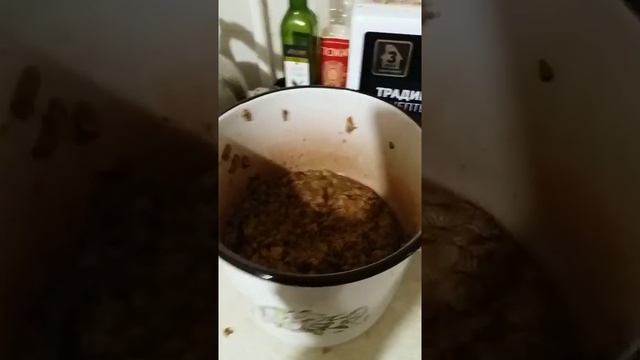Виноградный сок сорт "Лидия" через соковыпаритель (Часть 4) смотреть онлайн