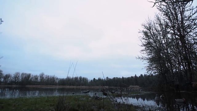 Trophy Pintails | S1E8 | The Last Pass By Final Approach смотреть онлайн