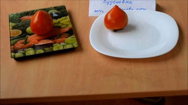 Сорт томата 