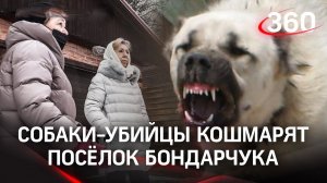 «На моих глазах он съел её голову»: алабаи растерзали маленькую собачонку
