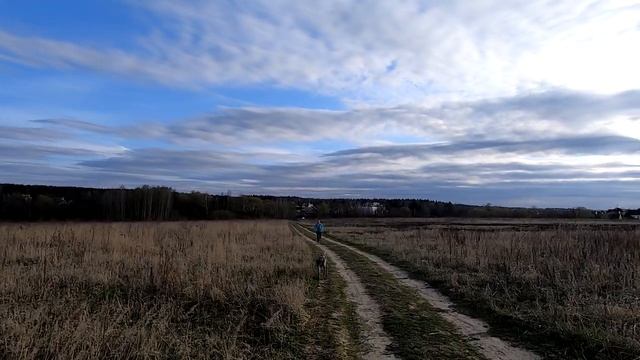Плоский живот, привлекательность и здоровье смотреть онлайн