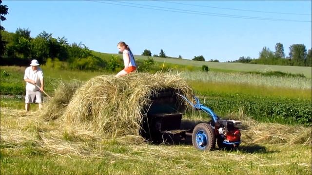 Дед и Вероника. Лето, июнь, сенокос. 2021г. Making hay in the village. смотреть онлайн