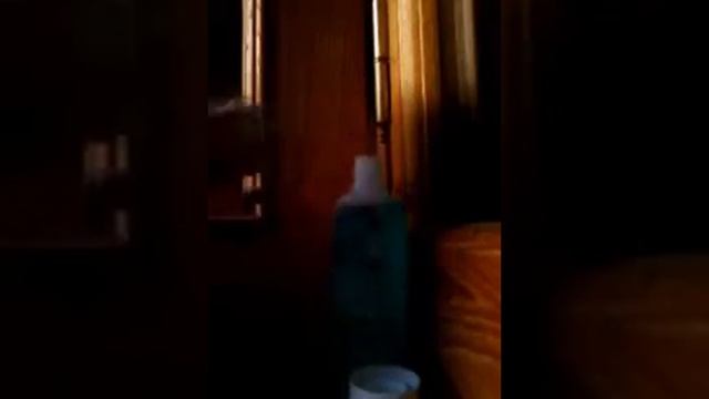 LPS: Как стереть лак с пета*; смотреть онлайн