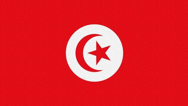 Tunisia National Anthem (1958-1987; Instrumental Midi) Ala Khallidi смотреть онлайн