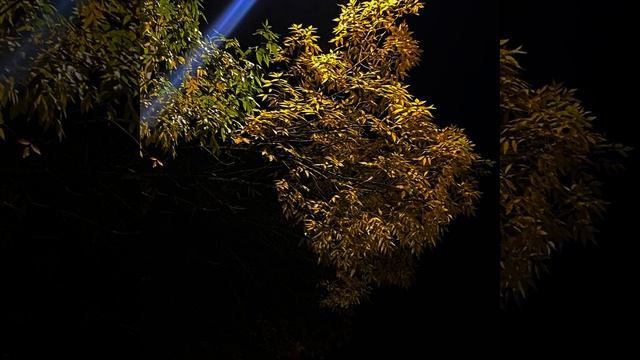 фосфор смотреть онлайн