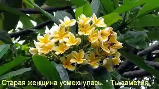 У каждого есть трещины смотреть онлайн