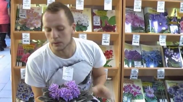 ДФ. И.Рачков 'Селекция 'Вологодская- ' смотреть онлайн