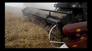Уборка  ячменя Комбайном Палессе GS 12