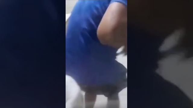 Спасите! Помогите! смотреть онлайн
