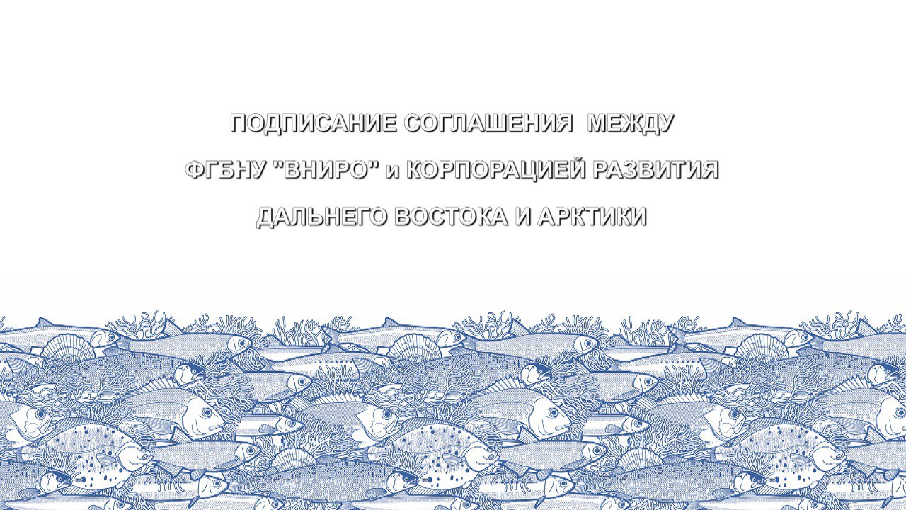 ВНИРО и Корпорация развития Дальнего Востока и Арктики (КРДВ) заключили соглашение о сотрудничестве смотреть онлайн