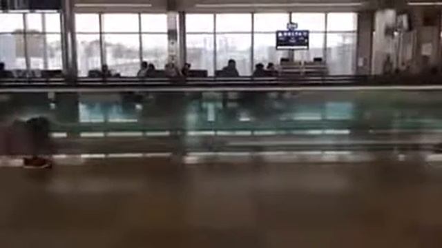 Команда по плаванию сделала удивительное видео в аэропорту смотреть онлайн