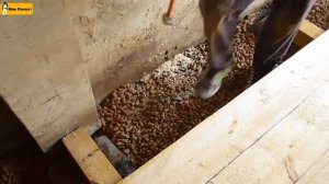 ✅  Переделка деревянного пола в гараже | [Ремонт квартир в Костроме - МнеРемонт]