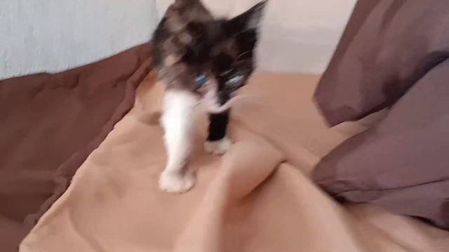 Ослепшая малышка смотреть онлайн