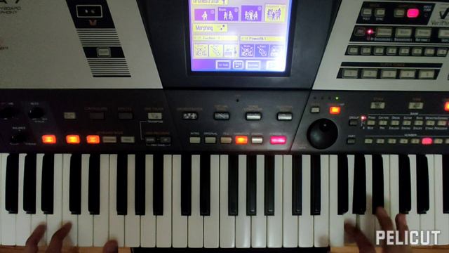 LIAN ROSS & Can You Love Me: Roland VA7