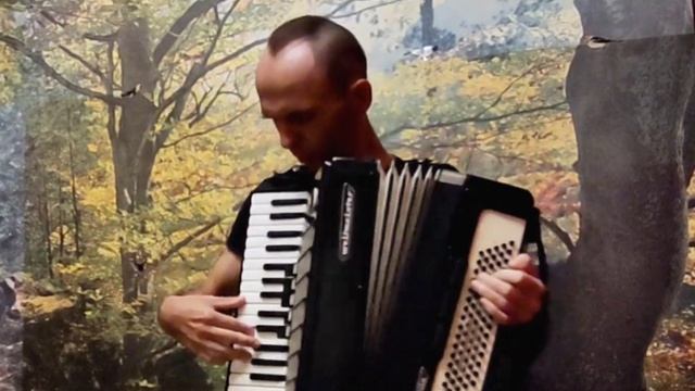 Акордеон. Ой,чий то кінь стоїть смотреть онлайн