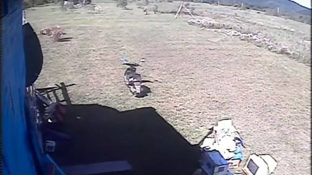 2015.09.07 - Обустройство гаража. смотреть онлайн
