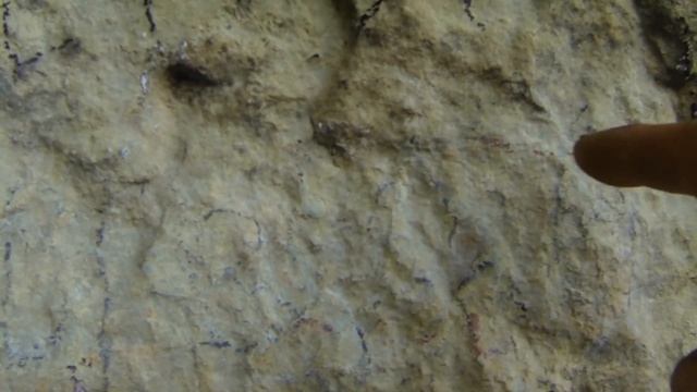 Древние наскальные рисунки Крым. смотреть онлайн