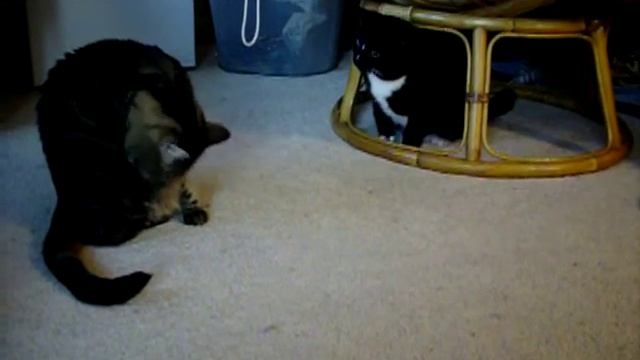 Chublins... git'n er смотреть онлайн