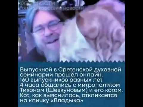 Фомовости: только хорошие новости смотреть онлайн