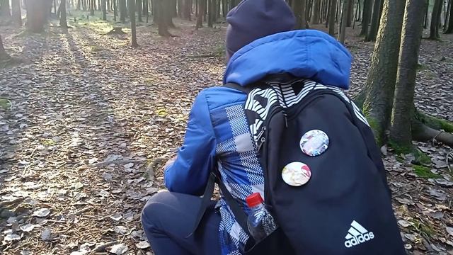кормлю белочек 2часть если что белочку плохо видно смотреть онлайн